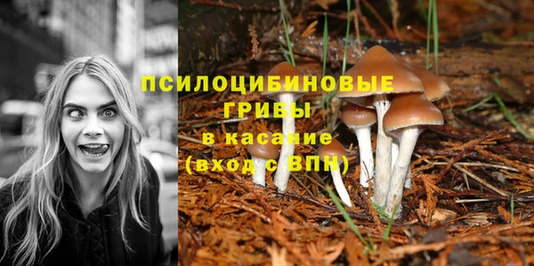 альфа пвп Зеленокумск