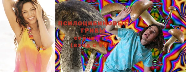 метадон Зеленодольск
