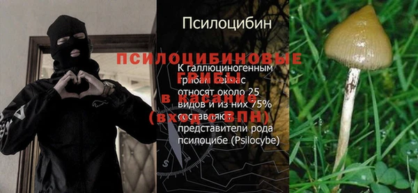 ГАЛЛЮЦИНОГЕННЫЕ ГРИБЫ Зерноград