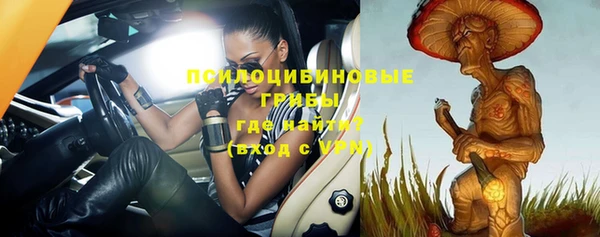 ГАЛЛЮЦИНОГЕННЫЕ ГРИБЫ Зерноград