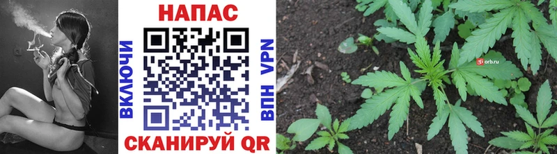 Купить закладки  Высоковск  Каннабис White Widow 